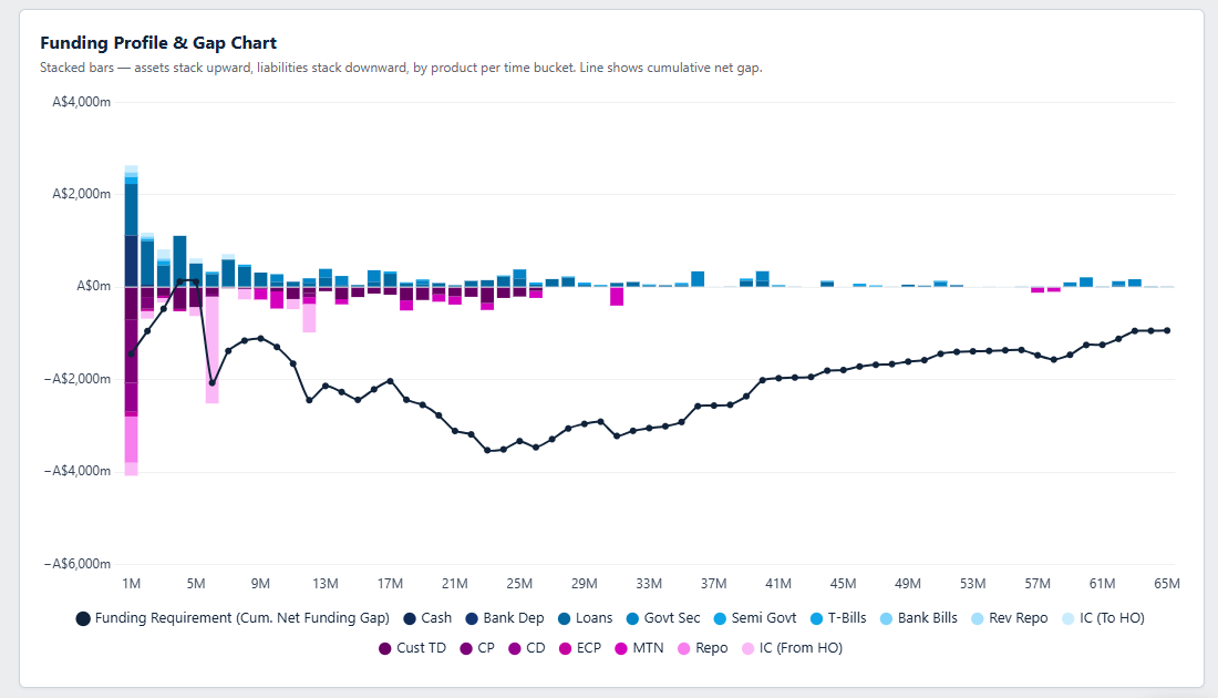 Funding gap and maturity ladder chart